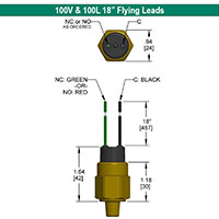 100V-and-100L-18-inch-Flying-Leads (-77).jpg